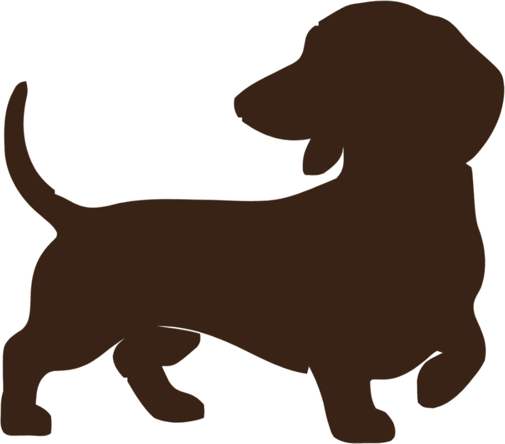 888 dachshund mascot